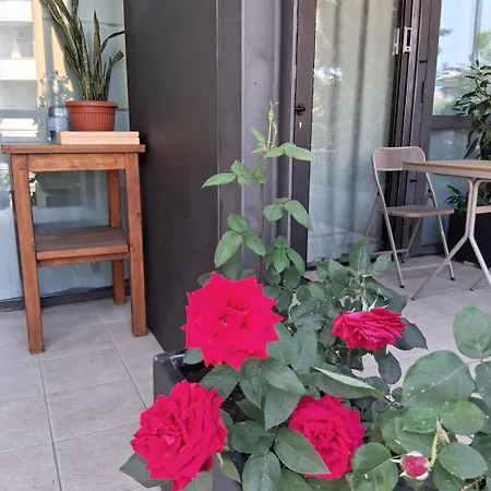 Rose Del פסקיארה דל גארדה