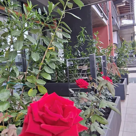 דירה Rose Del פסקיארה דל גארדה